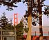 2 12 Disney outing Nor Cal Packards 007.jpg